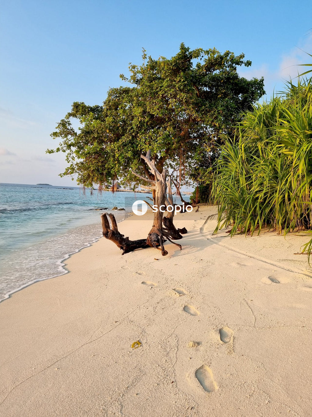 Woman lying on beach shore
