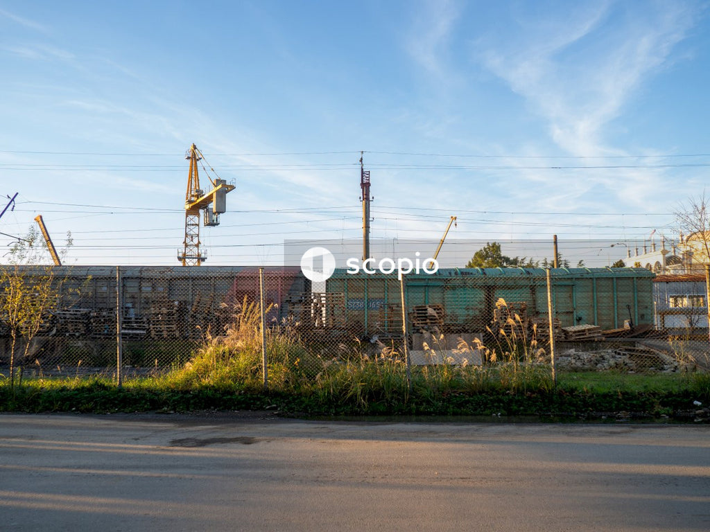 Yellow and black heavy equipment near green plants