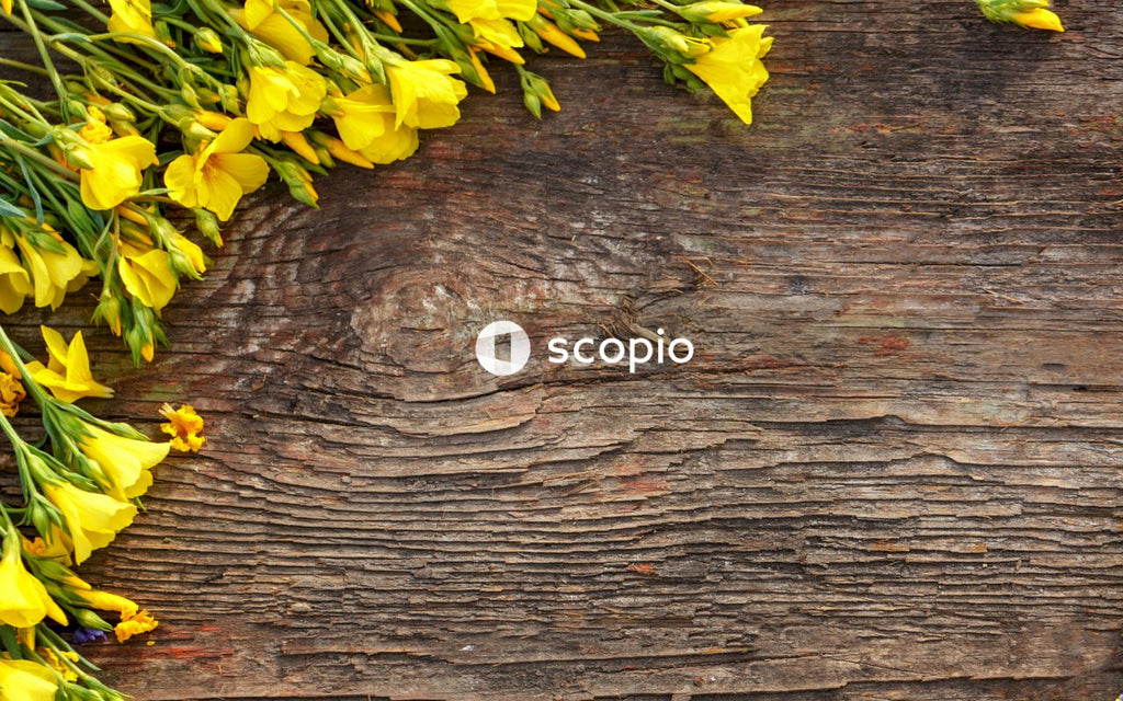 Yellow and green leaves on brown wooden surface