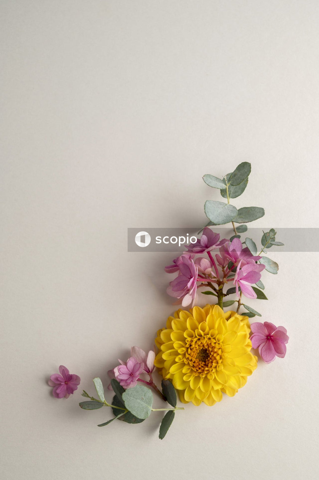 Yellow and purple flowers on white surface