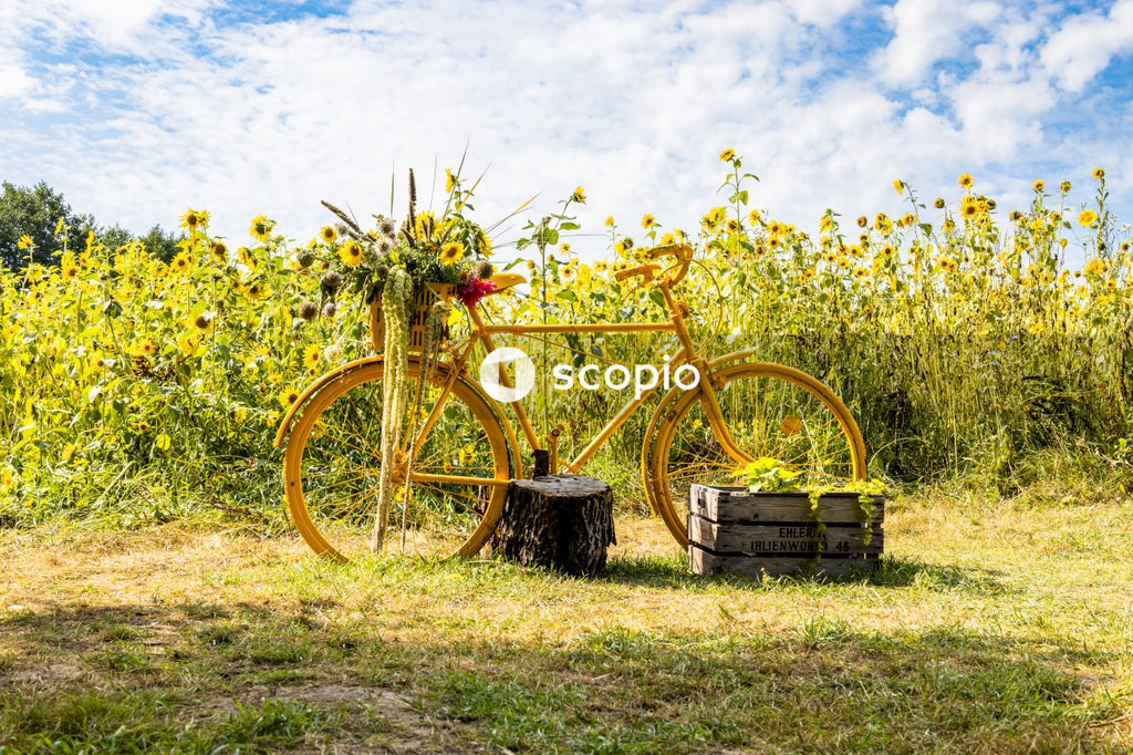 Yellow flowers on brown wooden cart